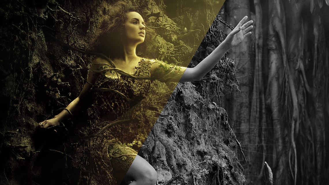 wallpaper mystical forest